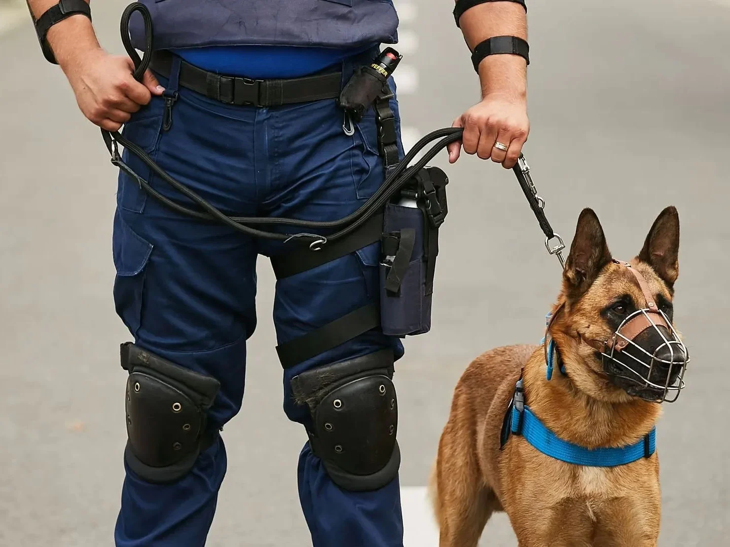 Image with screens running BGS security monitoring services